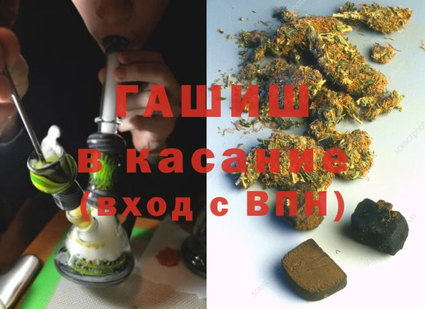 гидра Няндома