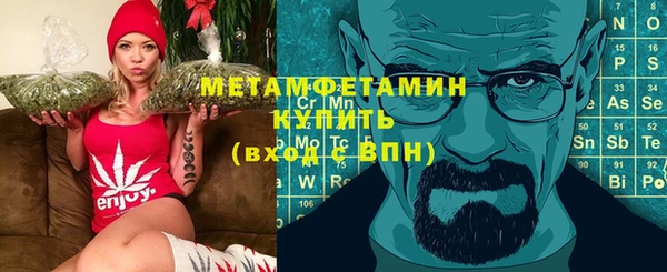 гидра Няндома